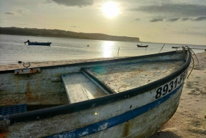 Óbidos (middelalderby): Privat halvdagstur fra Lisboa