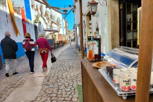 Óbidos (ville médiévale) : Visite d'une demi-journée privée depuis Lisbonne