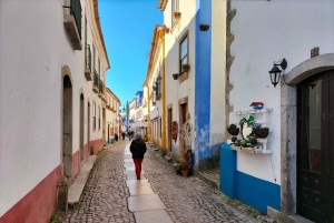 Óbidos (ville médiévale) : Visite d'une demi-journée privée depuis Lisbonne