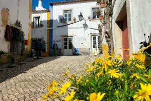 Óbidos (ville médiévale) : Visite d'une demi-journée privée depuis Lisbonne