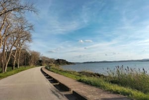 Óbidos (ville médiévale) : Visite d'une demi-journée privée depuis Lisbonne