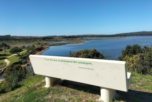 Óbidos (ville médiévale) : Visite d'une demi-journée privée depuis Lisbonne