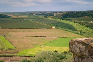 Óbidos: tour privado y flexible a pie por la ciudad medieval