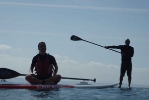 Oeiras Coast: Stand Up Paddleboarding near Lisbon