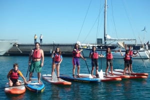 Oeiras Coast: Stand Up Paddleboarding near Lisbon