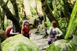 Pena Palace, Moorish Castle,Quinta ad Regaleira:Walking tour