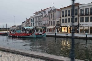 Privat dagsutflykt till Porto och Aveiro från Lissabon