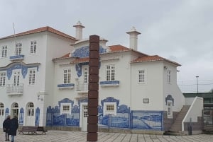 Privat dagsutflykt till Porto och Aveiro från Lissabon