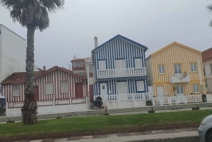 Privat dagsutflykt till Porto och Aveiro från Lissabon