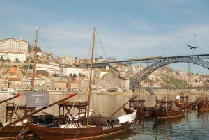 Porto Full-Day Private Tour from Lisbon