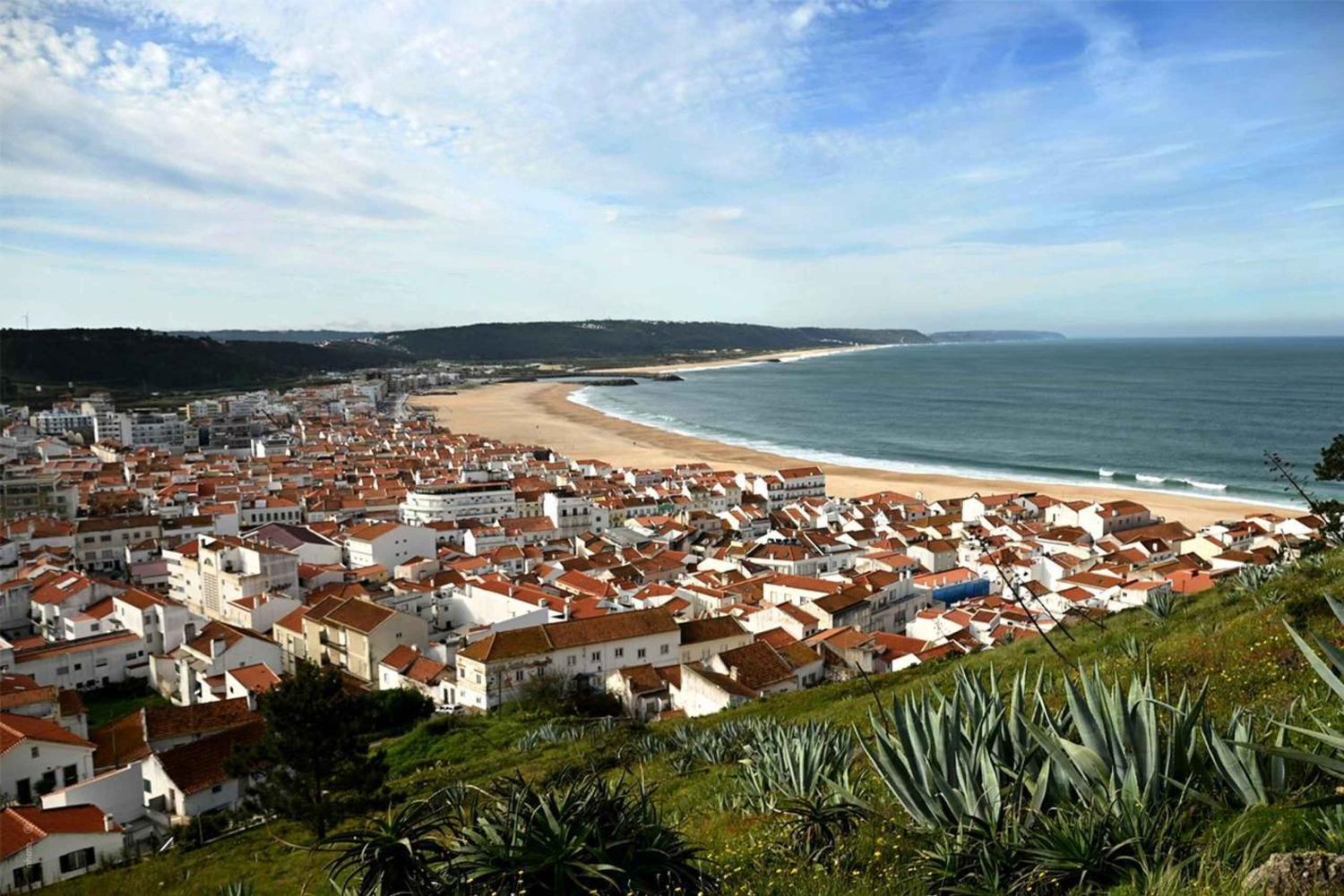 Private transfer from Porto to Lisbon (or vice versa) with up to 4 cultural stops