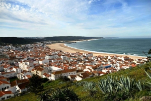 Private transfer from Porto to Lisbon (or vice versa) with up to 4 cultural stops