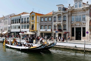 Private transfer from Porto to Lisbon (or vice versa) with up to 4 cultural stops