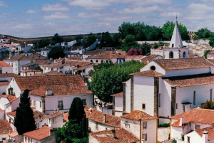 Private transfer from Porto to Lisbon (or vice versa) with up to 4 cultural stops