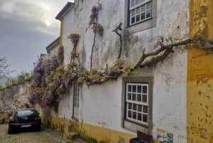 Porto to Lisbon with Aveiro-Coimbra-Fátima-Nazaré-Óbidos