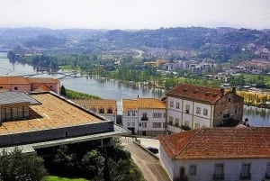 Porto to Lisbon with Aveiro-Coimbra-Fátima-Nazaré-Óbidos