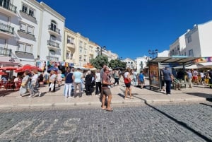 Porto to Lisbon with Aveiro-Coimbra-Fátima-Nazaré-Óbidos