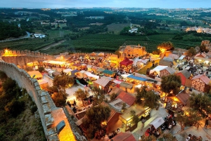 Tour privato di mezza giornata a Fatima da Lisbona