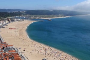 Tour privato di mezza giornata a Fatima da Lisbona