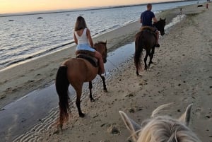 PRIVATE Horseback riding on the beach