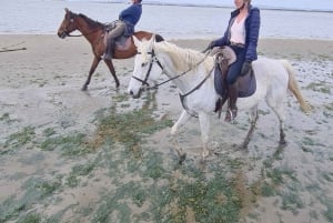 PRIVATE Horseback riding on the beach