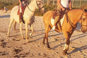 PRIVATE Horseback riding on the beach