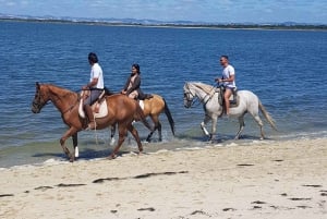 PRIVATE Horseback riding on the beach