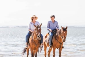 PRIVATE Horseback riding on the beach