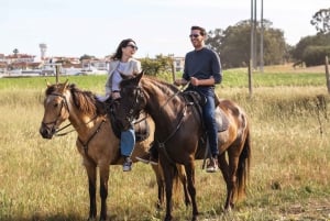 PRIVATE Horseback riding on the beach