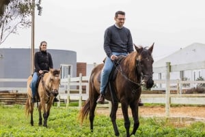 PRIVATE Horseback riding on the beach