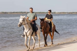 PRIVATE Horseback riding on the beach