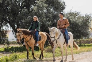 PRIVATE Horseback riding on the beach