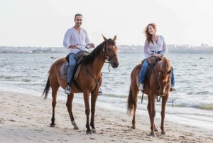 PRIVATE Horseback riding on the beach