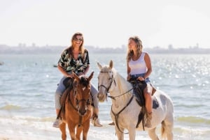 PRIVATE Horseback riding on the beach