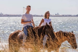 PRIVATE Horseback riding on the beach