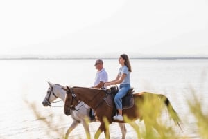 PRIVATE Horseback riding on the beach