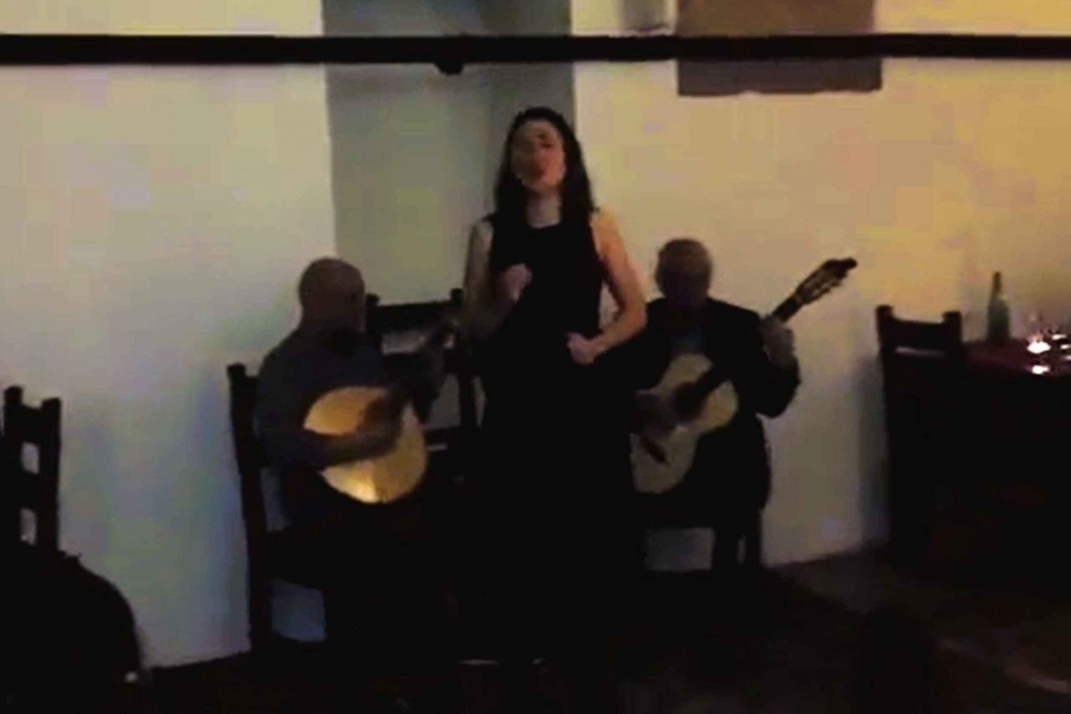 Privat kvällstur, autentisk Fado-show och portugisisk middag