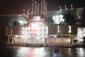 Tour privato serale, spettacolo di Fado autentico e cena portoghese