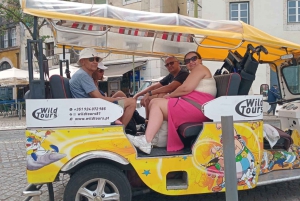 Private tours of Lisbon in 100% electric tuk-tuks
