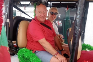 Private tours of Lisbon in 100% electric tuk-tuks