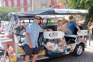 Private tours of Lisbon in 100% electric tuk-tuks