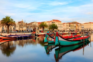 Private Transfer - Lisbon->Porto+Obidos/Aveiro/Fatima/Nazare