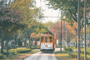 Private Transfer - Lisbon->Porto+Obidos/Aveiro/Fatima/Nazare