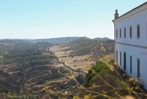 Serra da Arrábida naturpark på elcykel + transfer