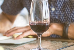 Sesimbra & Arrábida National Park Tour with 5 Wines Tasting