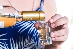 Sesimbra & Arrábida National Park Tour with 5 Wines Tasting