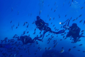 Sesimbra: Beginner Scuba Diving in Prof. Luiz S. Marine Park