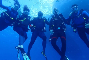 Sesimbra: Beginner Scuba Diving in Prof. Luiz S. Marine Park