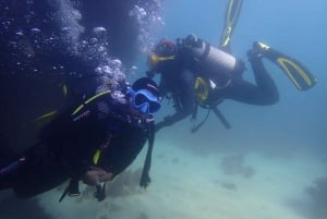 Lisbon: Try Dive in Arrábida Natural Park and Marine Reserve