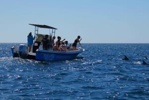 Sesimbra: Passeio de observação de golfinhos no Parque Natural da Arrábida